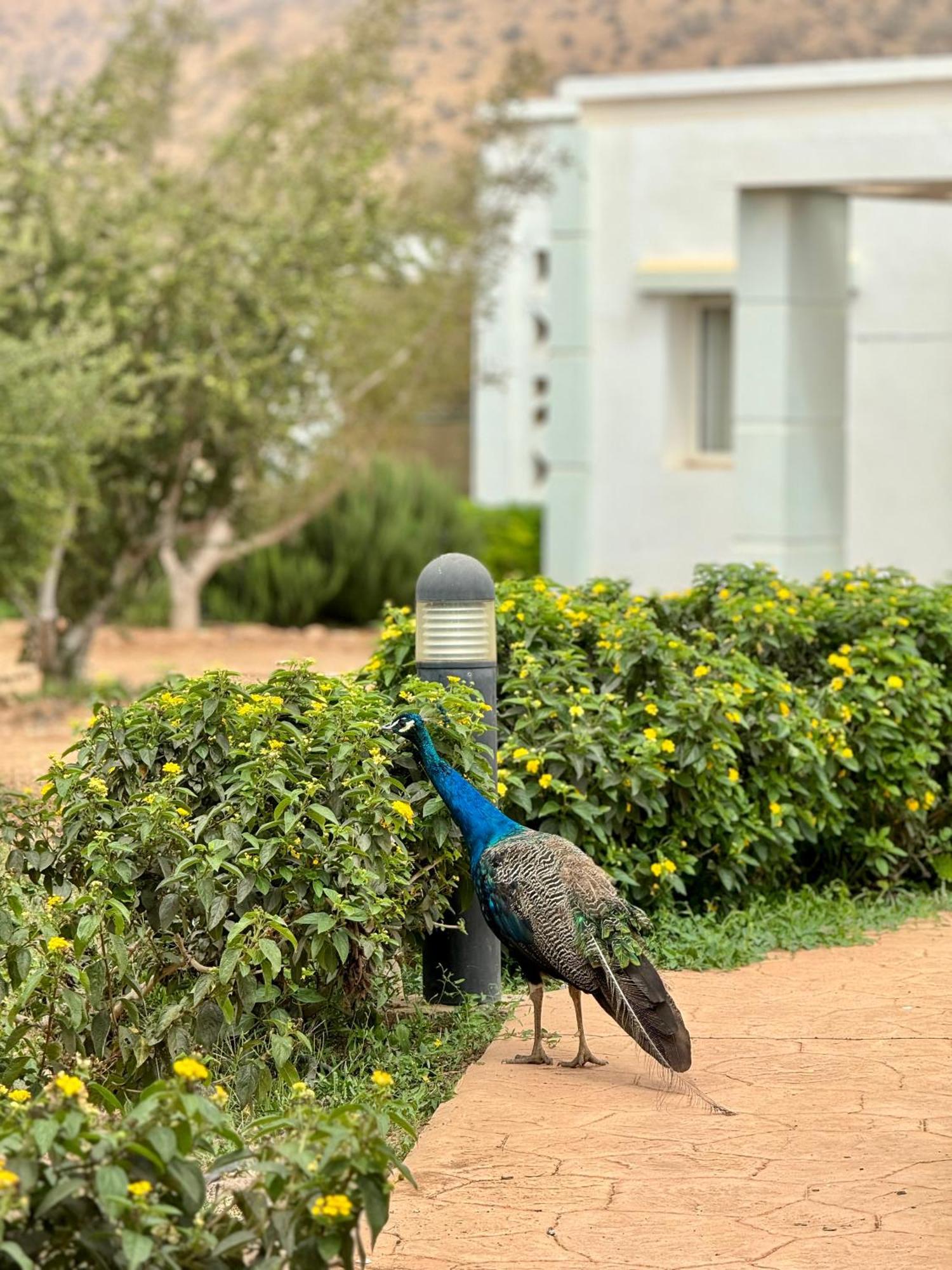 Imi Ouaddar Lunja Village - Agadir מראה חיצוני תמונה